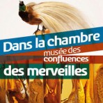 Affiche-de-Dans-la-chambre-des-merveilles_banniere1