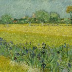 « Champs d’iris près d’Arles », 1888