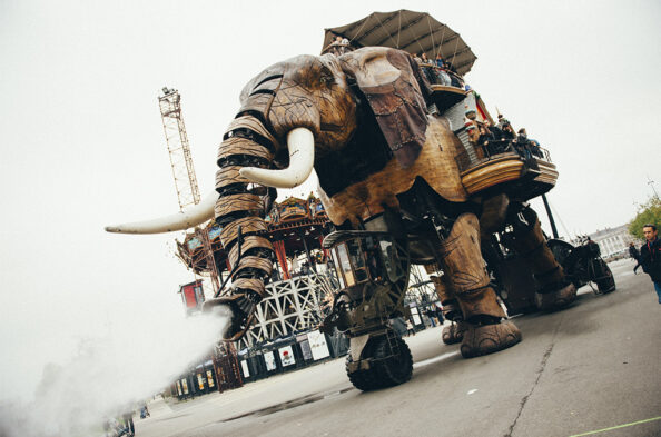 Nantes : et si un paresseux annonçait le printemps ? | Journal des Activités Sociales de l'énergie | 39213 Colo 15 17 ans Zen attitude a Nantes Automne 2017