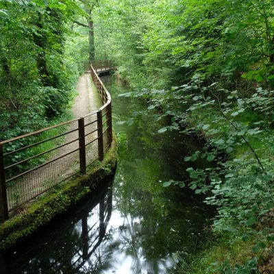 Une balade autour du lac de Vassivière | Journal des Activités Sociales de l'énergie | 27705 Peyrat le chateau en Limousin Ete