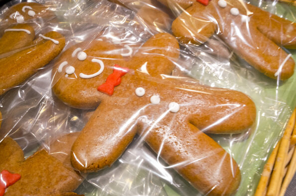 Et si vous passiez Noël à Strasbourg ? | Journal des Activités Sociales de l'énergie | 41855 Mannalas De lalsacien et du francique lorrain