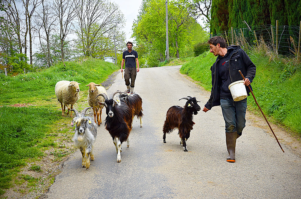 Soueix, village vacances sans complexes