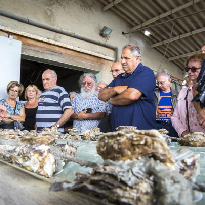 Une journée à l’étang de Thau, à l’ancienne | Journal des Activités Sociales de l'énergie | 76976 Sortie a lEtang de Thau des SLVies Costieres Montpellier Cevennes et Gard Rhodanien