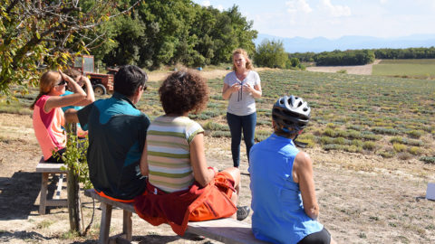 Vacanciers à la rencontre d’une productrice de lavande sur la ViaRhôna, itinéraire cyclable du lac Léman
