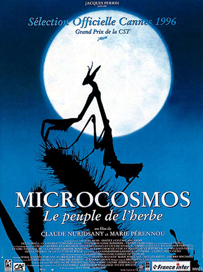 "La vie secrète des insectes": Notre sélection médiathèque | Journal des Activités Sociales de l'énergie | Microcosmos