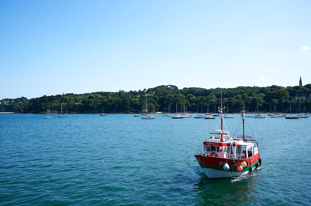 [En images] Festival de cinéma de Douarnenez : à l’abordage! | Journal des Activités Sociales de l'énergie | 107833 43eme edition du festival de cinema de Douarnenez