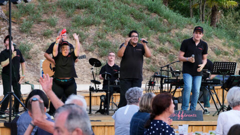 Handicap : en juin, deux festivals de CMCAS pour vivre et créer ensemble | Journal des Activités Sociales de l'énergie | 108271 Solihand Les Mathes La solidarite plus que le Handicap