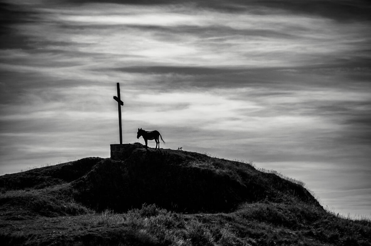 "Sans Titre", de François Ourly (CMCAS Essonne). Lauréats du concours Émoi d'images 2022