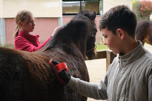 Colos de printemps : vive les expériences ! | Journal des Activités Sociales de l'énergie | 133530 colo evasions equestres avril 2023