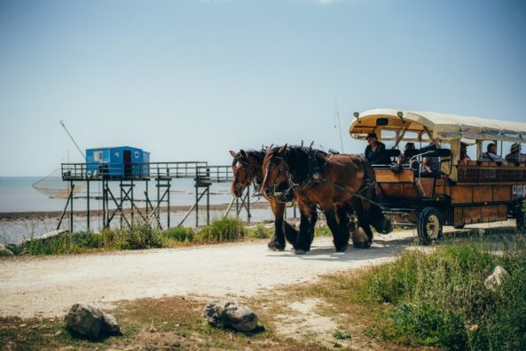 Échappée maritime à La Rochelle | Journal des Activités Sociales de l'énergie | 134384 Carnet de Voyage La Rochelle