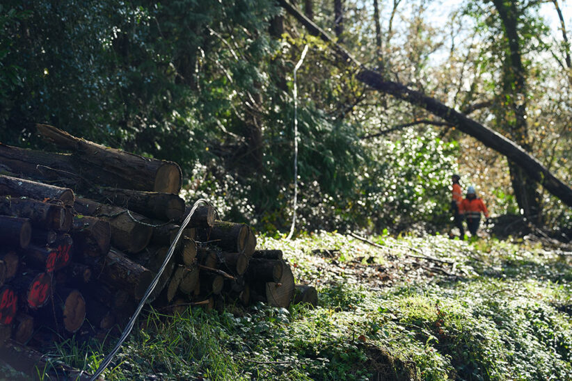 Tempête Ciaran : les agents au chevet d'un réseau "haché menu" dans le Finistère | Journal des Activités Sociales de l'énergie | CHAP Bretagne 030