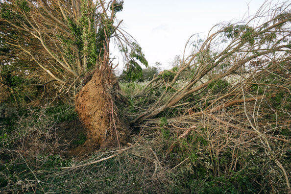 Tempête Ciaran : les agents au chevet d'un réseau "haché menu" dans le Finistère | Journal des Activités Sociales de l'énergie | CHAP Bretagne 044