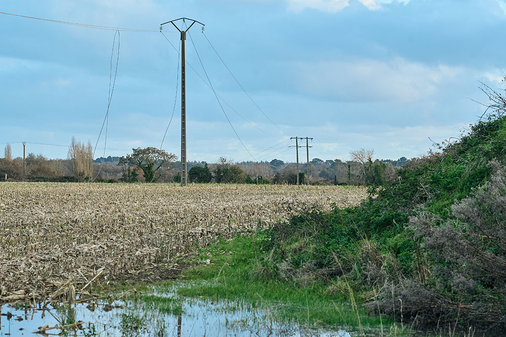 Intervention des agents Enedis après la tempête Ciaran. Finistère, 7 et 8 novembre 2023.