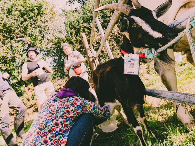 Billetterie : sept festivals à moins d'une heure d'un village vacances | Journal des Activités Sociales de l'énergie | festival bout du monde Quentin LG Pti Dej